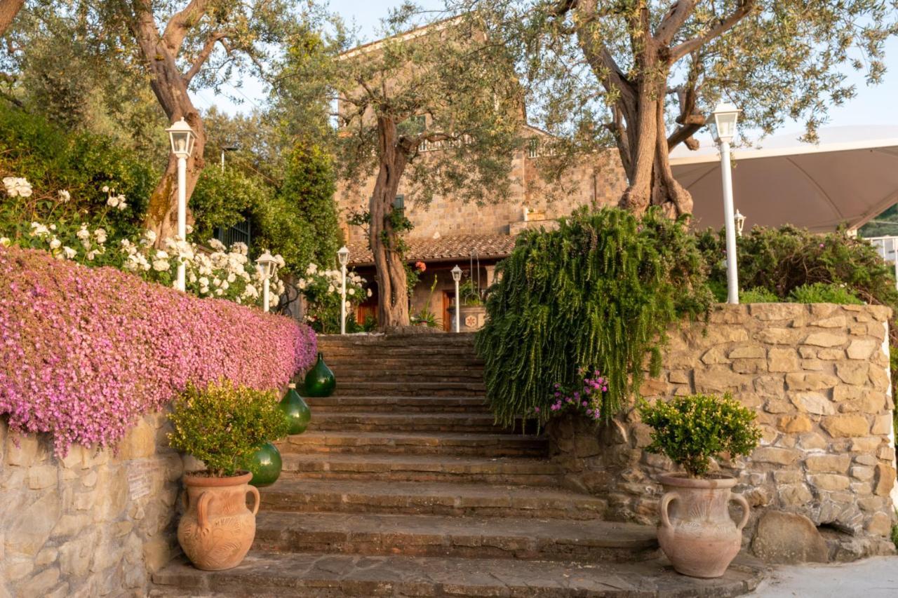 Villa Carolina Sorrento Private Heated Mini Pool And Sea View Sorrento