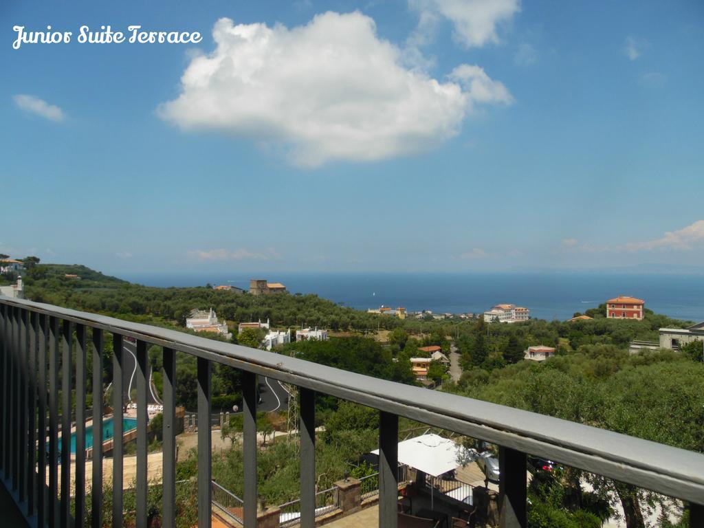 Villa Carolina Sorrento Private Heated Mini Pool And Sea View Villa Sorrento
