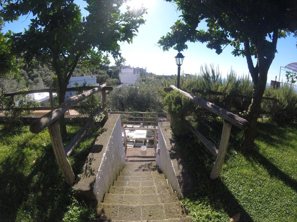 Villa Carolina Sorrento Private Heated Mini Pool And Sea View Villa *